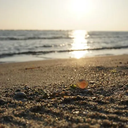 Ferienhaus Austernperle 258 - A69701