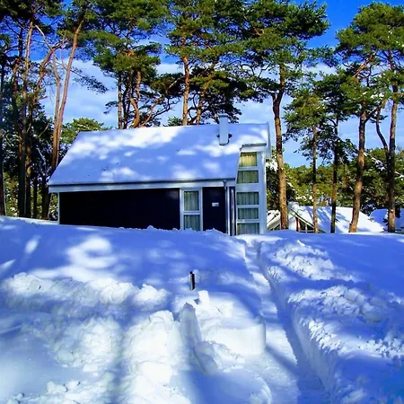 Austernperle - 度假居 巴贝