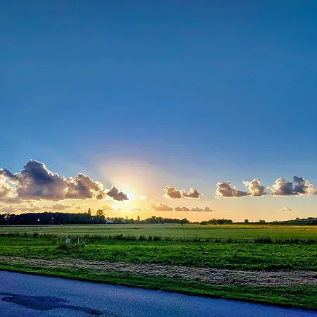 Austernperle 258 - A69701 * Baabe