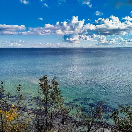 Austernperle 258 - A69701 *