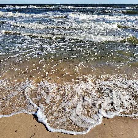 Austernperle 258 - A69701 Ferienhaus